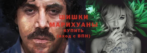 тгк Касимов