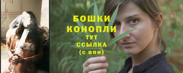 тгк Касимов