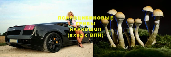 тгк Касимов
