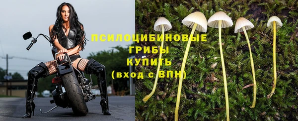 тгк Касимов