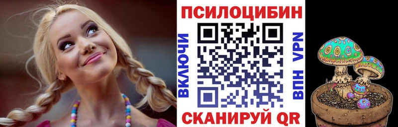 как найти наркотики Мценск кракен как зайти Галлюциногенные грибы мицелий
