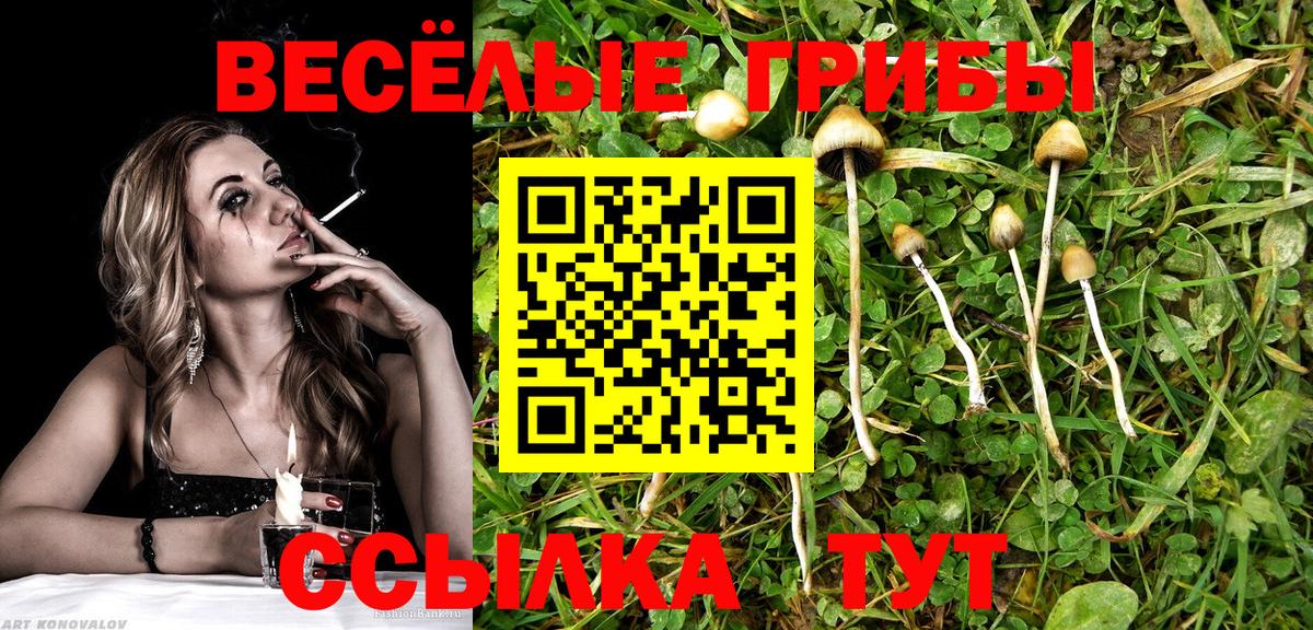 Галлюциногенные грибы Psilocybine cubensis  Вход с VPN  Псилоцибиновые грибы Cubensis  Мценск 